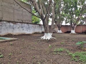 Terreno en Venta en Centro Yautepec