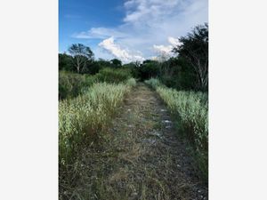 Terreno en Venta en Macario Gómez Tulum