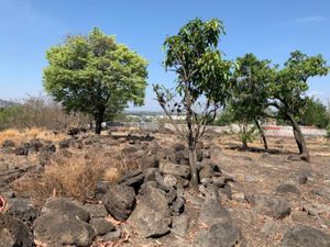 Terreno en Venta en Benito Juarez Emiliano Zapata