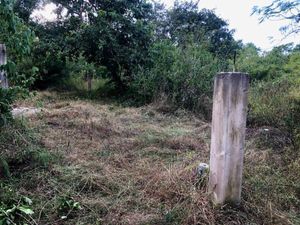 Terreno en Venta en Macario Gómez Tulum