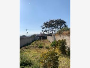 Terreno en Venta en Papayos Cuernavaca