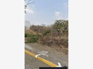 Terreno en Venta en Burgos Temixco