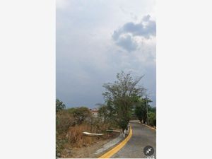 Terreno en Venta en Burgos Temixco