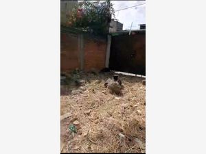 Terreno en Venta en La Huizachera Jiutepec