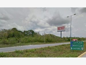 Terreno en Venta en Cancún (Internacional de Cancún) Benito Juárez