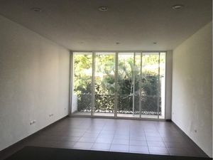 Departamento en Renta en Reforma Cuernavaca