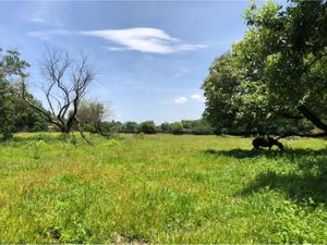 Terreno en Venta en San Andrés de la Cal Tepoztlán