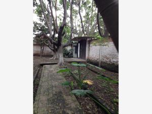 Terreno en Venta en Centro Yautepec