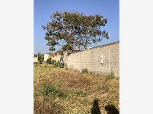 Terreno en Venta en Papayos Cuernavaca