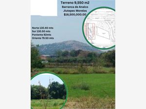 Terreno en Venta en Centro Jiutepec Jiutepec