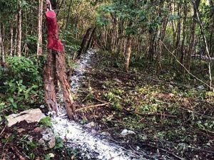 Terreno en Venta en Macario Gómez Tulum