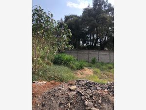 Terreno en Venta en Cuernavaca Centro Cuernavaca