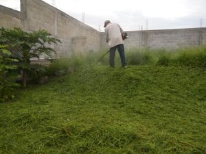 Terreno en Venta en Temixco Centro Temixco