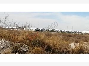 Terreno en Venta en Rancho del Carmen (La Peña) Apaseo El Alto