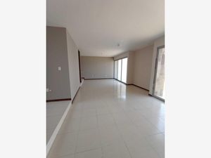 Casa en Renta en Villa Jardín Celaya