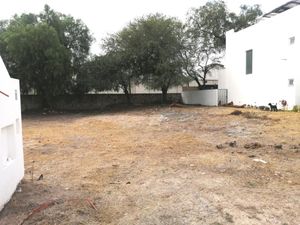 Terreno en Venta en San Lorenzo Celaya