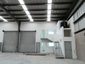 Bodega en Renta en Ciudad Industrial Celaya