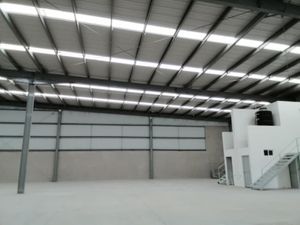 Bodega en Renta en Ciudad Industrial Celaya