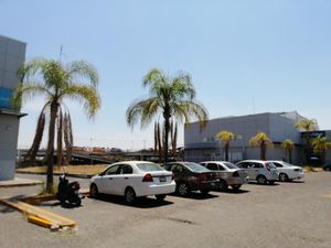 Local en Renta en Fovissste Celaya