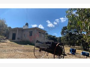 Finca/Rancho en Venta en San Pedrito Huimilpan