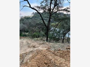 Terreno en Venta en Rancho San Juan Atizapán de Zaragoza