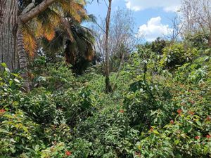 Terreno en Venta en Bacalar Centro Bacalar