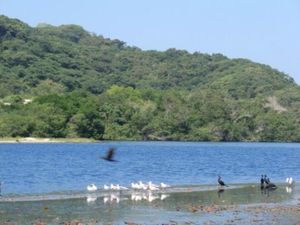 Terreno en Venta en Chacahua Villa de Tututepec