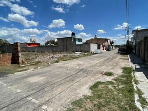 Terreno en Venta en San Antonio el Viejo Polotitlán