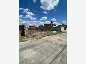 Terreno en Venta en San Antonio el Viejo Polotitlán