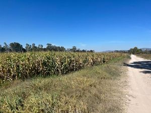 Terreno en Venta en Santa Cruz Escandon San Juan del Río