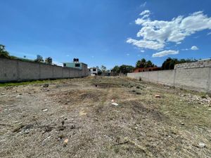 Terreno en Venta en San Antonio el Viejo Polotitlán