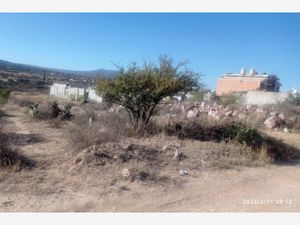 Terreno en Venta en Loma Linda San Juan del Río