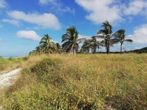 Terreno en Venta en Cancún Centro Benito Juárez