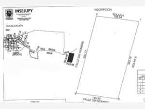 Terreno en Venta en Seye Seyé