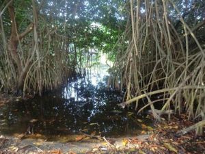 Terreno en Venta en Chacahua Villa de Tututepec