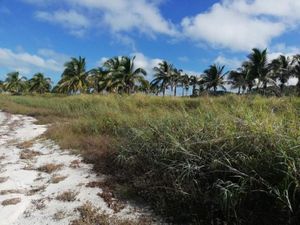 Terreno en Venta en Champoton Centro Champotón