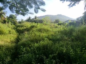 Terreno en Venta en Chacahua Villa de Tututepec