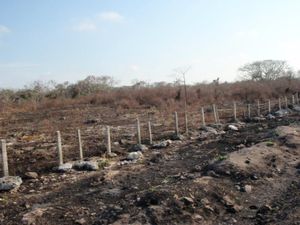 Terreno en Venta en Malecon Champotón