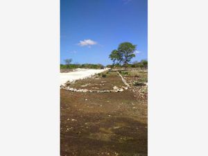 Terreno en Venta en Izamal Izamal