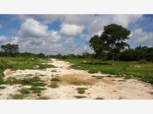 Terreno en Venta en Izamal Izamal