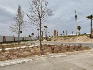 Terreno en Venta en La Barranca Torreón