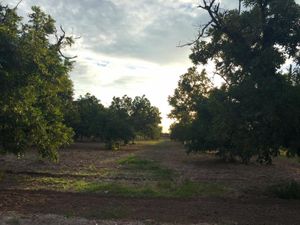 Terreno en Venta en La Barranca Torreón