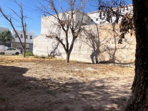 Terreno en Venta en Residencial las Isabeles Torreón