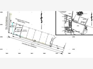 Terreno en Venta en Estrella Parras