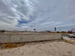 Terreno en Renta en Paso del Aguila Torreón