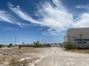 Terreno en Venta en Campo Nuevo de Zaragoza Torreón