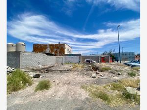 Terreno en Renta en Nueva California Torreón
