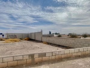 Terreno en Renta en Paso del Aguila Torreón