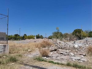 Terreno en Renta en Santa Fe Torreón