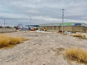 Terreno en Renta en Paso del Aguila Torreón